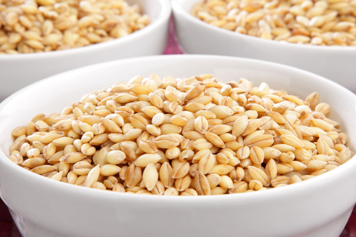 13 Gluten Free Farro Substitute Feminine Adventures 13 Gluten Free Farro Substitute Feminine Adventures