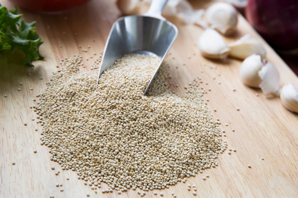 10 Substitute for Barley (GF & LowCarb) Feminine Adventures