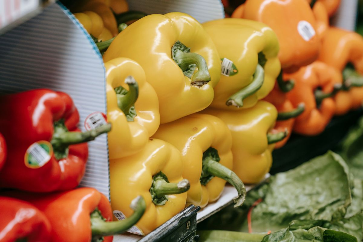 10 Bell Pepper Substitute Options Feminine Adventures