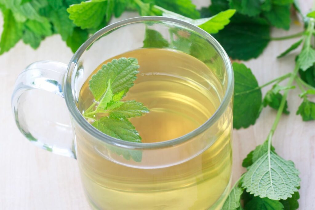 The Best Substitutes for Mint (Includes Fresh, Dried and Mint